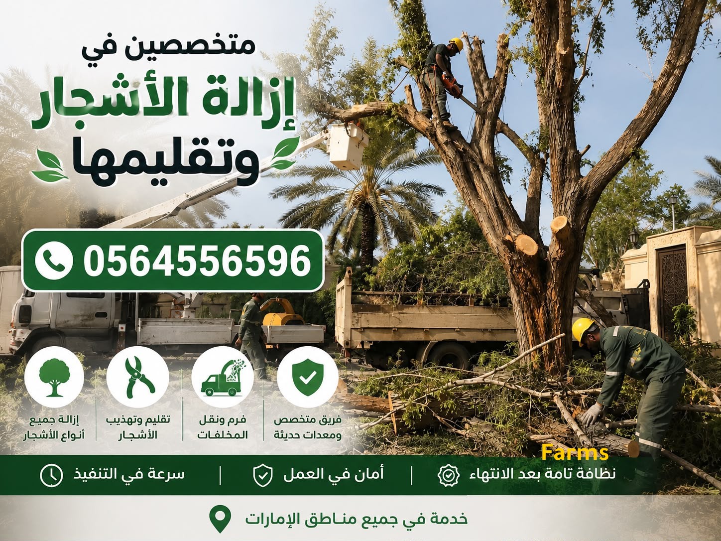 شركة قطع اشجار و تقليم الاشجار الشارقه